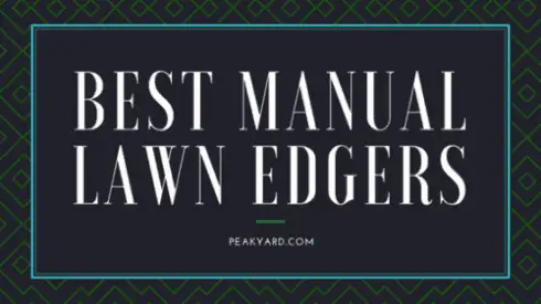 Best Manual Lawn Edger