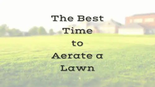 When to aerate a lawn