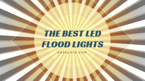 best outdoor flood light