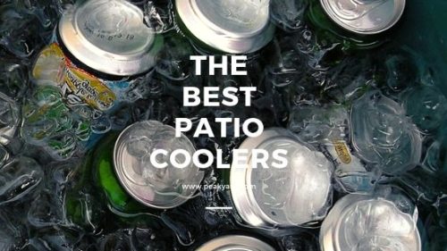 best cooler for patio