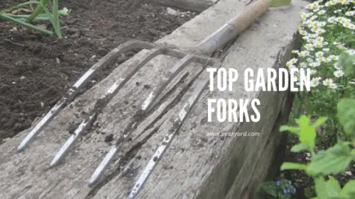 best garden fork
