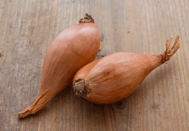 Two shallots unpeeled